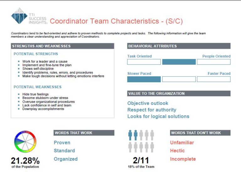 DISC-Team Report Sample Page