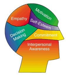 Emotional Ingelligence