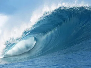 wave mso
